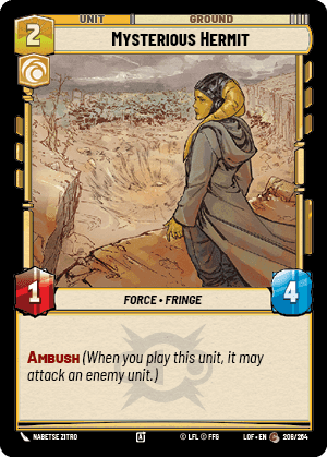 Mysterious Hermit